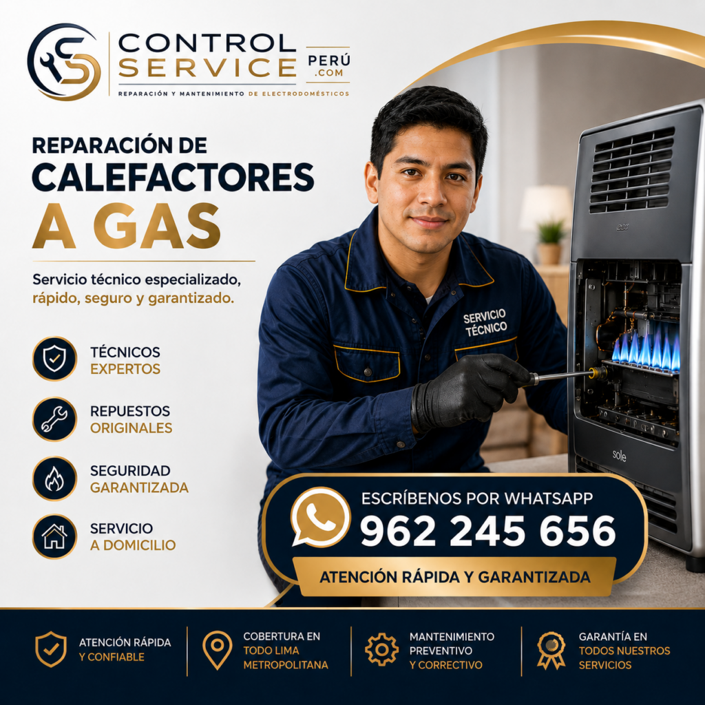 Diagnóstico de calefactor a gas a domicilio