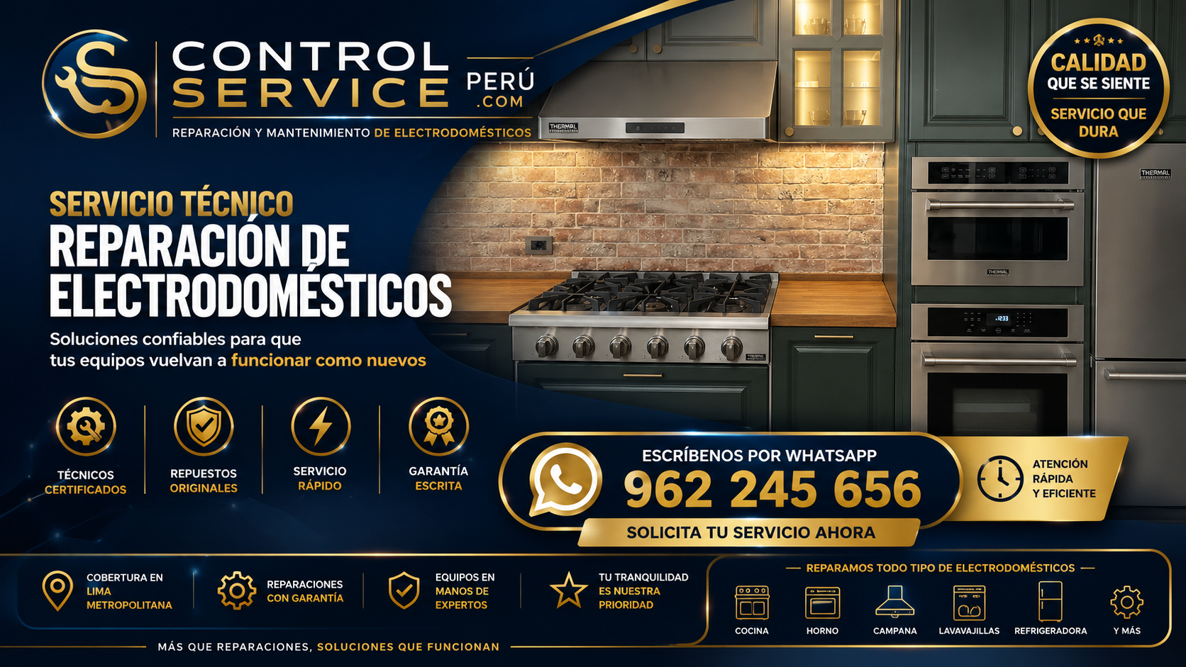 Control Service Perú servicio técnico Thermal Professional.